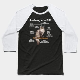 Funny Anatomy Of A Cat - Cute Funny Kitty Kitten Feline Pet Lover Baseball T-Shirt